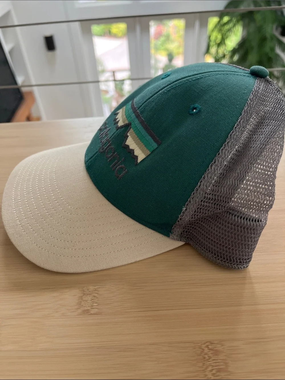 Patagonia trucker cap